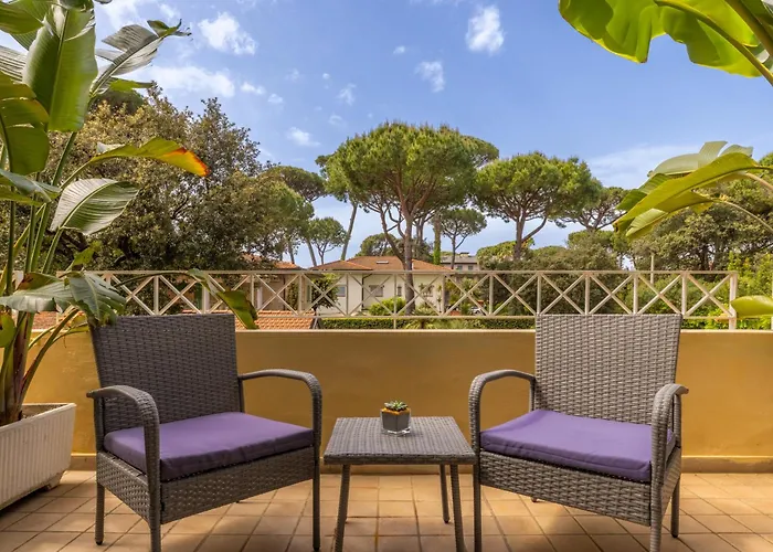 酒店 阿卡普尔科酒店 4*