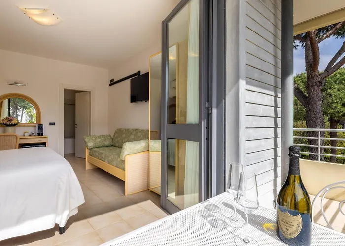 阿卡普尔科酒店 4*