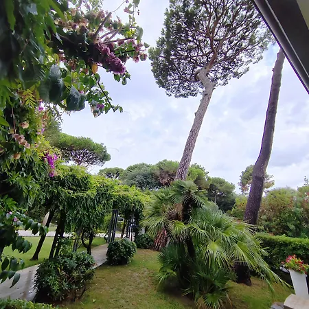 Отель Acapulco
