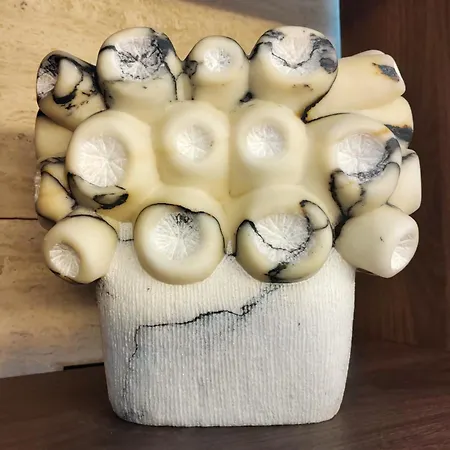 Acapulco فندق فورتي دي مارمي